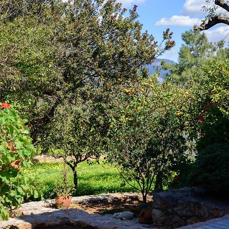 Asopos Eleni'S Houseヴィラ エクステリア 写真