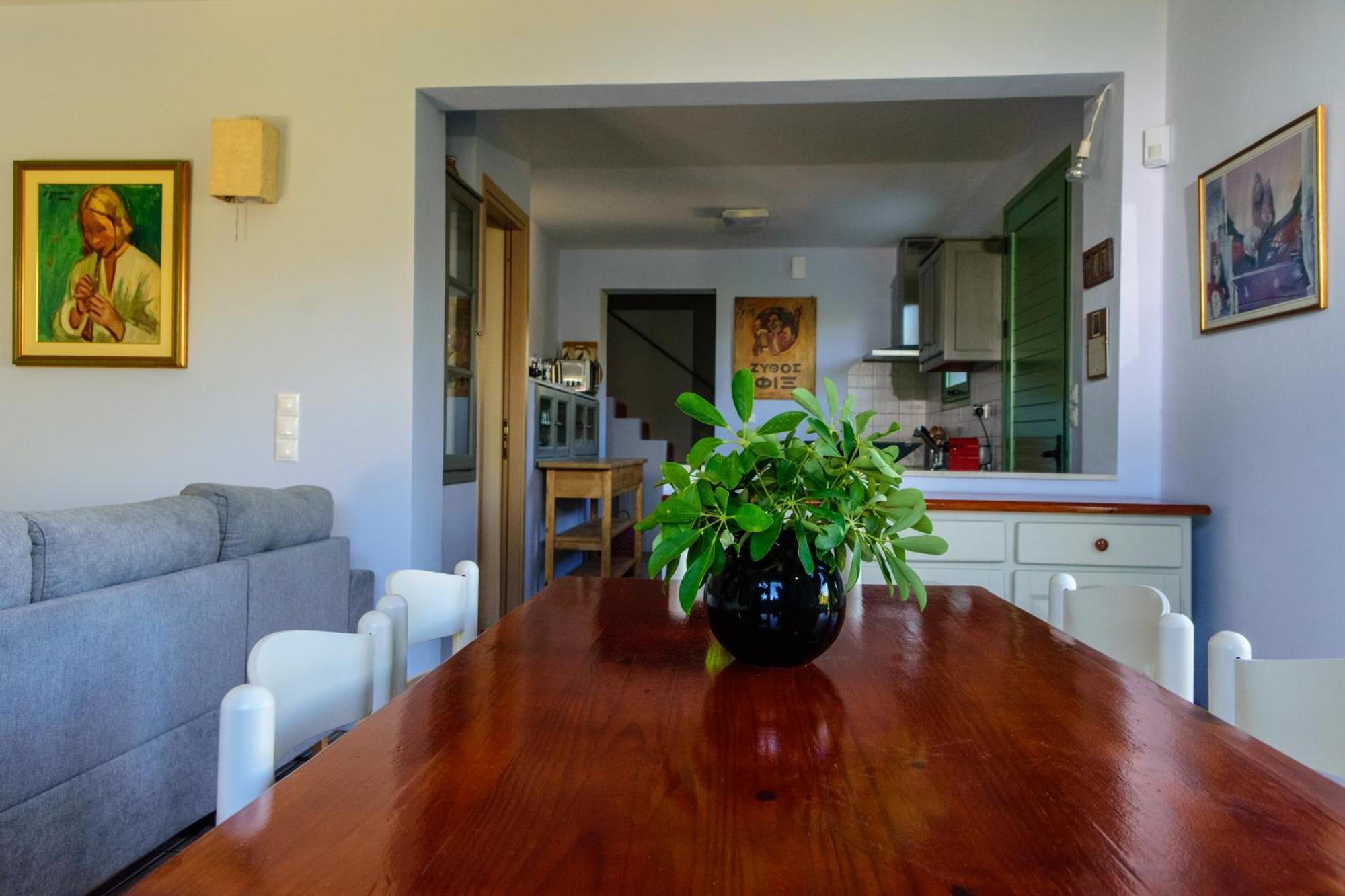 Asopos Eleni'S Houseヴィラ エクステリア 写真